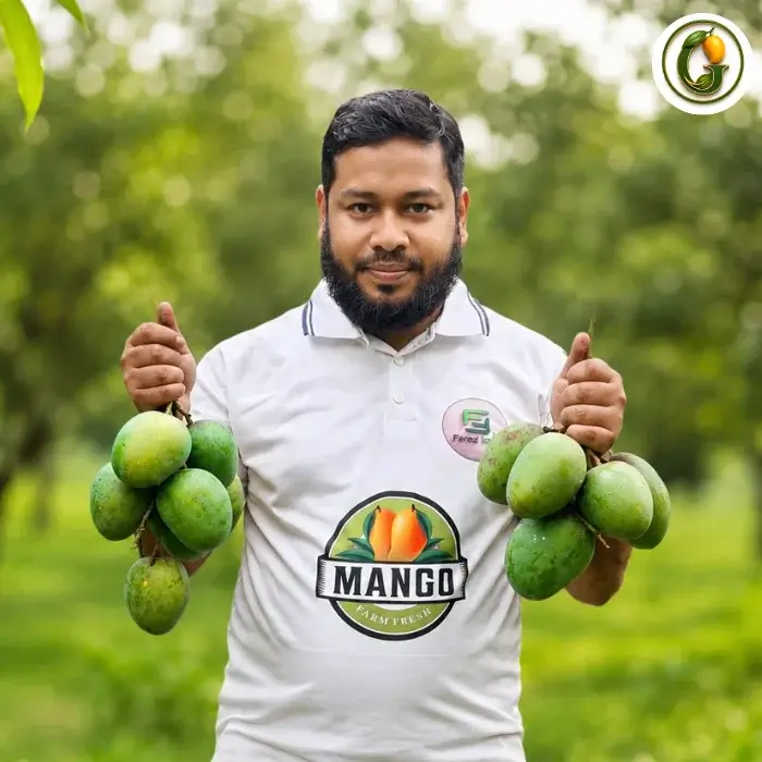 Himsagar Mango (5)